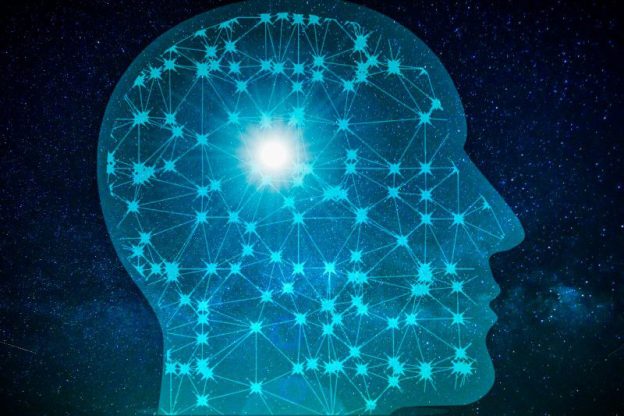 Brain Surgeon Shows Us Answer to Our Most Challenging Questions